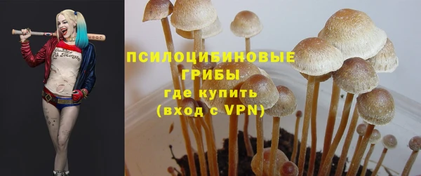 Альфа ПВП Алзамай