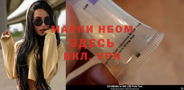 индика Алексин