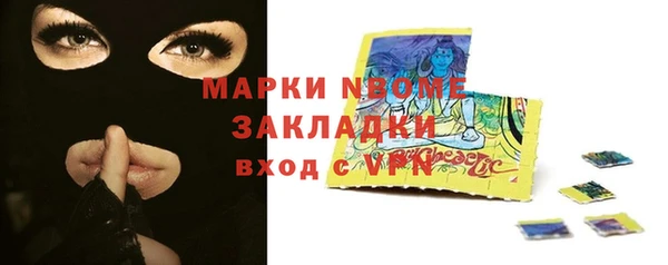 индика Алексин