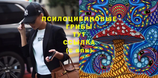 Альфа ПВП Алзамай