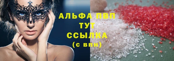 индика Алексин