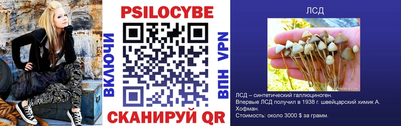 shop телеграм  Новоалтайск  Галлюциногенные грибы Psilocybe  blacksprut маркетплейс 